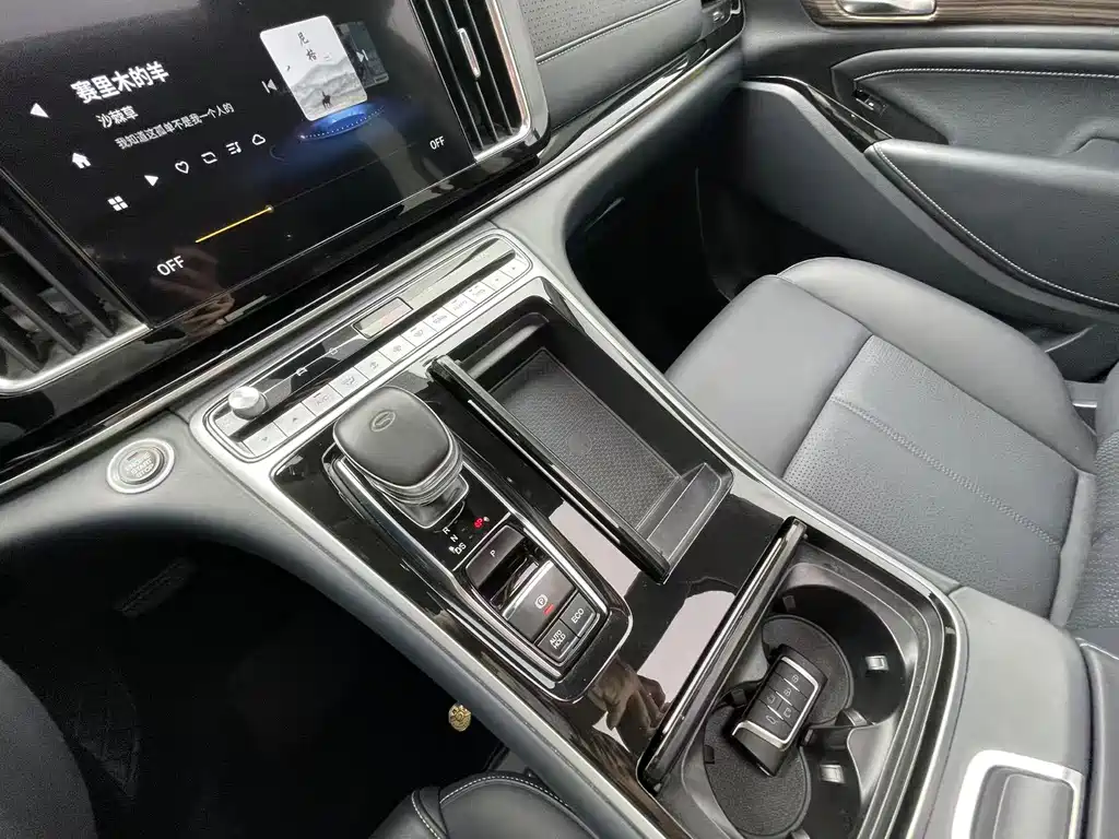 GAC Motor Trumpchi M8 2021 — фото 14