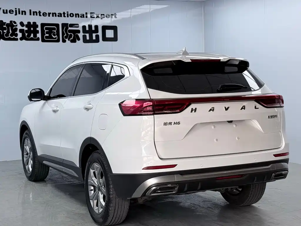 Haval H6 2023 — фото 11