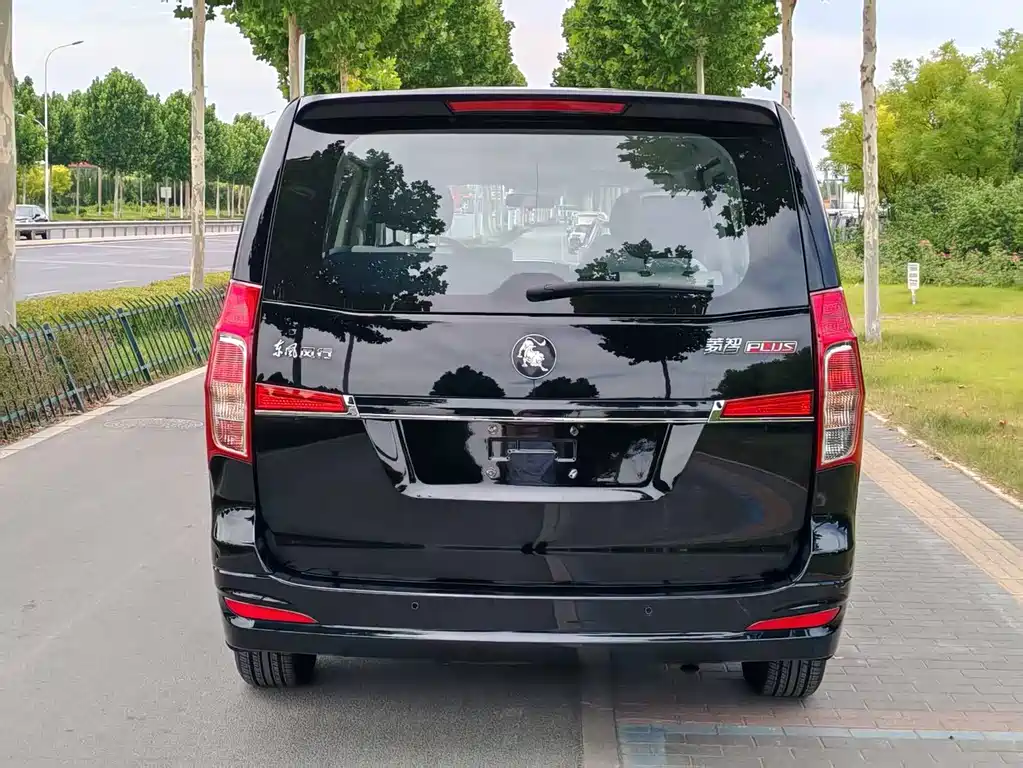 Fengxing Lingzhi PLUS 2026