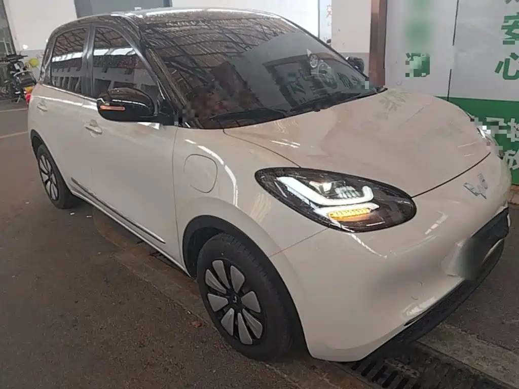 Wuling Bingo 2024