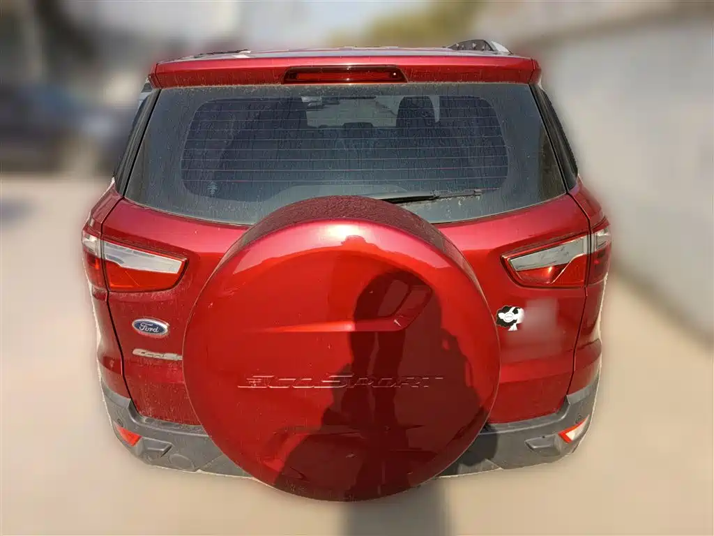 Ford Ecosport 2015 — фото 28