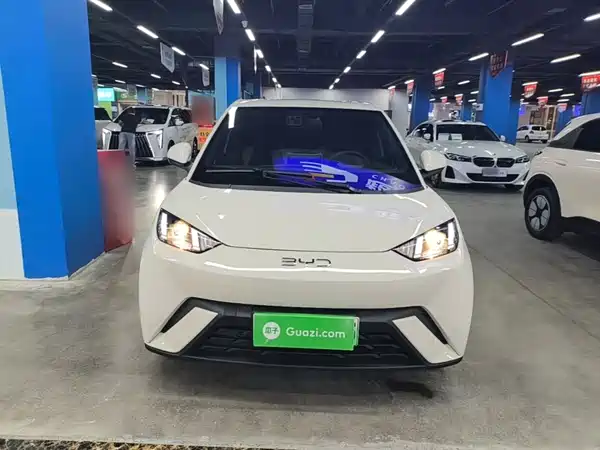 BYD Seagull 2024