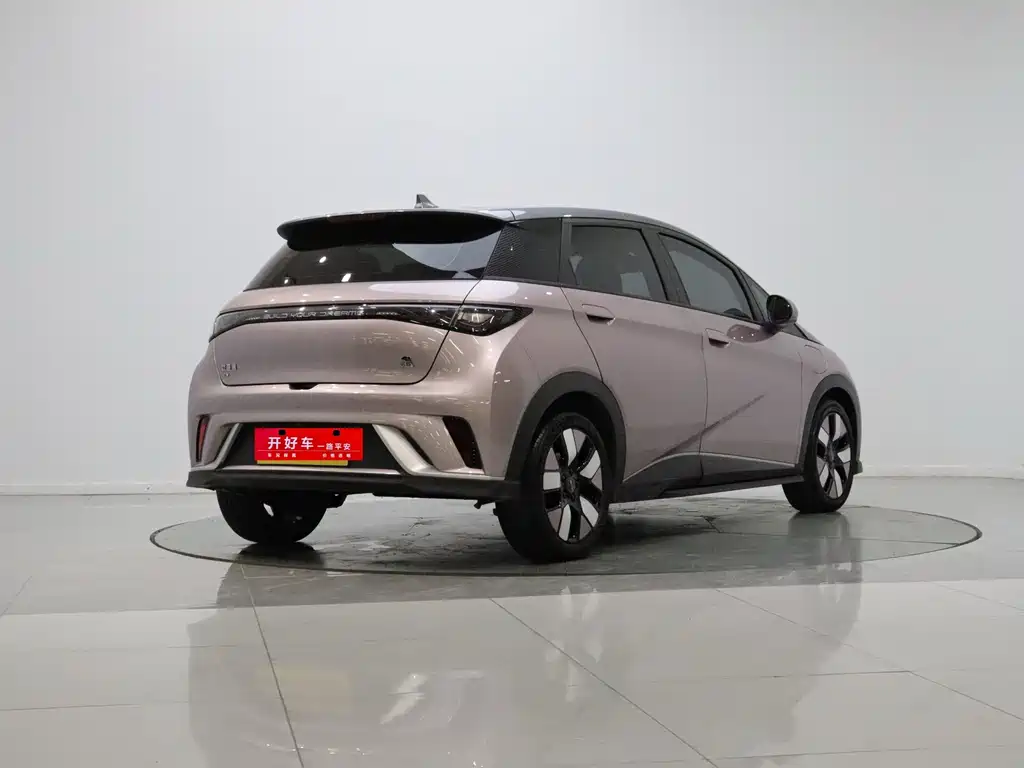 BYD Dolphin 2022