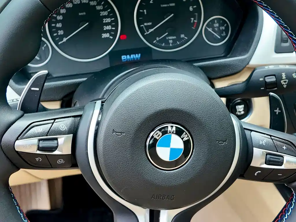 BMW 3 Series 2014 — фото 10