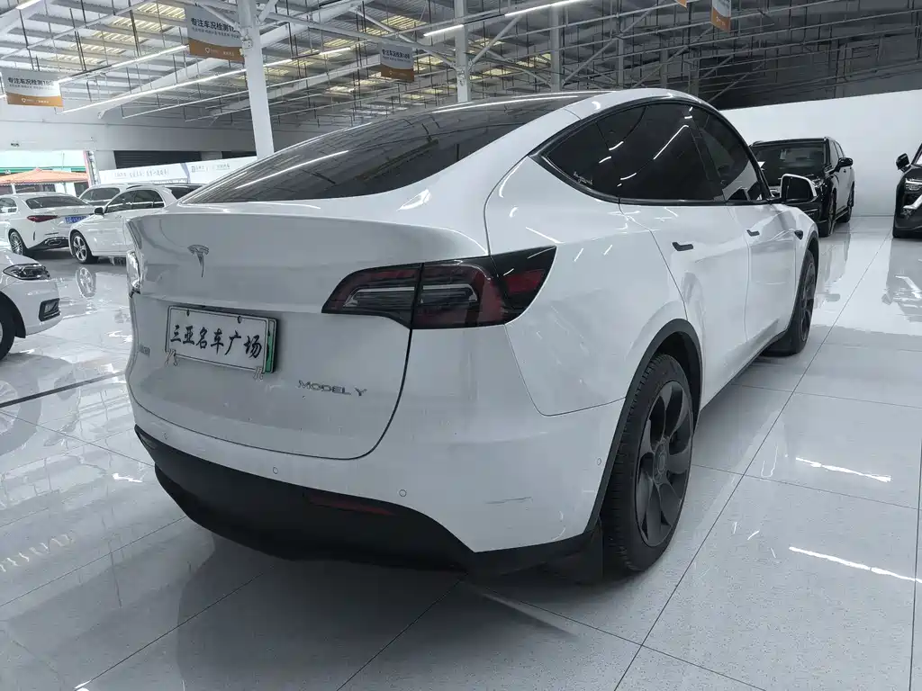 Tesla Model Y 2023 — фото 6