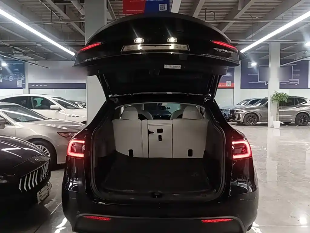Tesla Model Y 2021 — фото 19