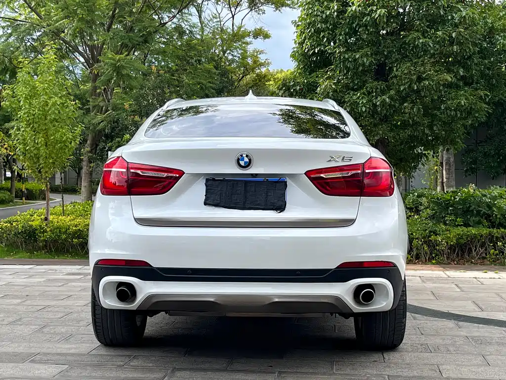 BMW X6 2018 — фото 8