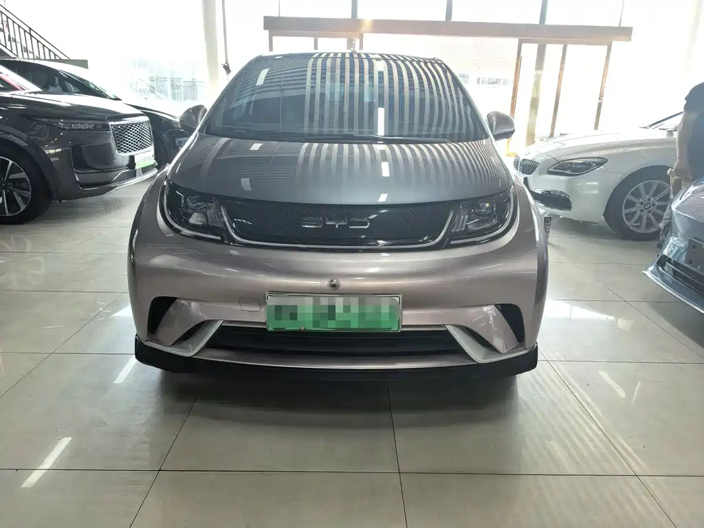 BYD Dolphin 2022