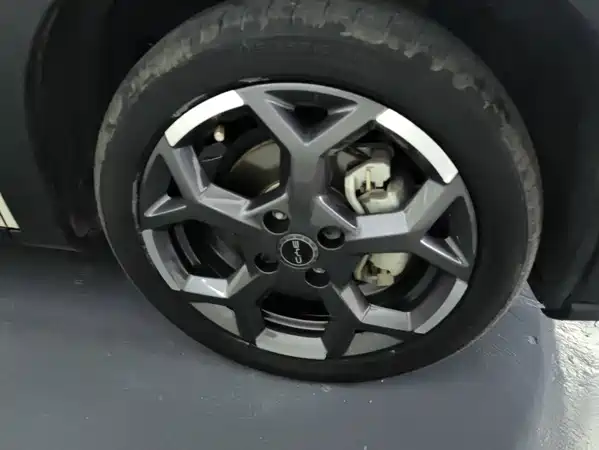 BYD Seagull 2024