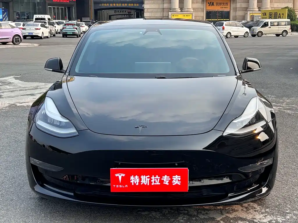 Tesla Model 3 2020 — фото 2