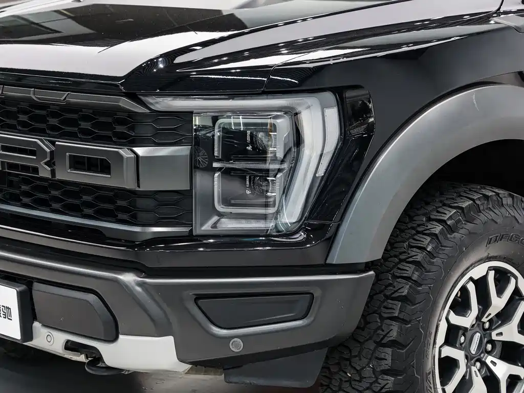 Ford F-150 Raptor 2023 — фото 8
