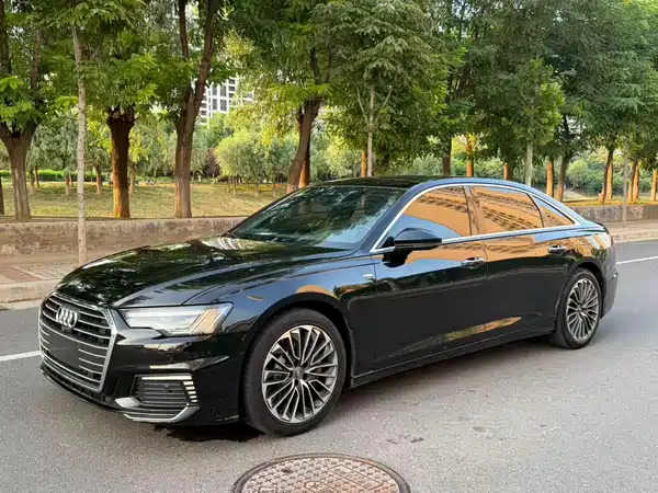 Audi A6L New Energy 2020
