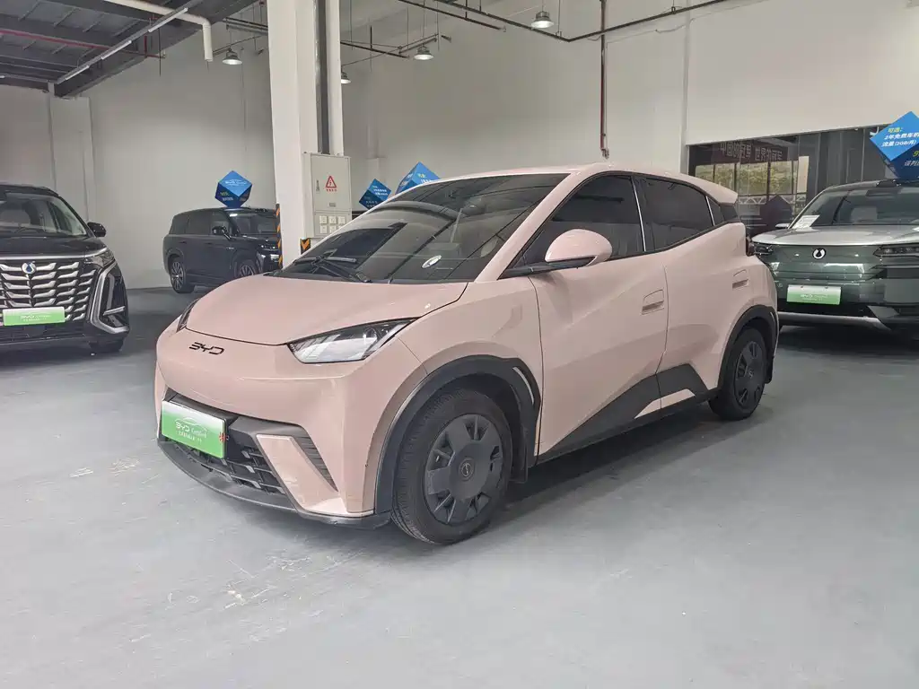 BYD Seagull 2024
