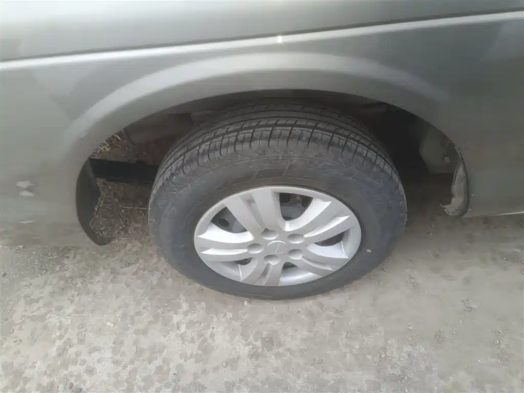 Fengxing Lingzhi 2025 — фото 26