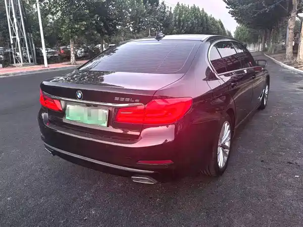 BMW 5 Series New Energy 2020