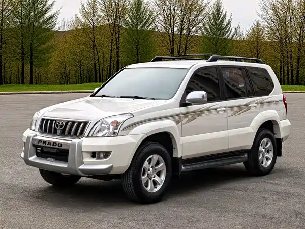 Toyota Prado 2009