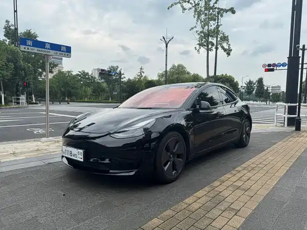 Tesla Model 3 2021