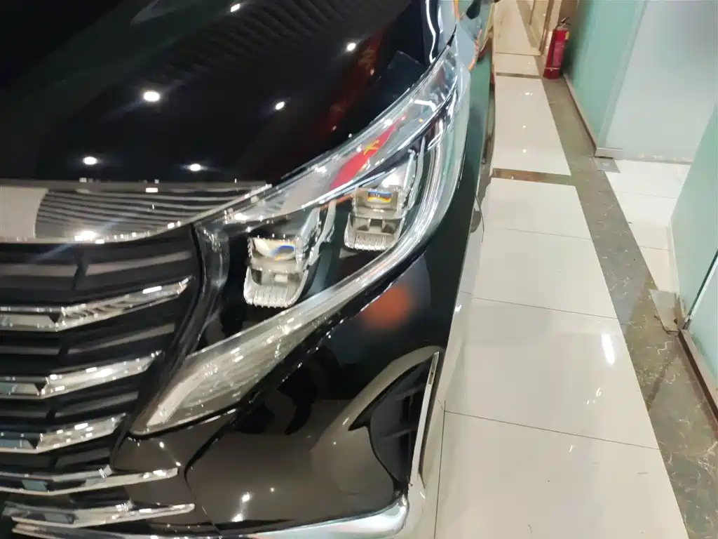 GAC Motor Trumpchi M8 2023 — фото 19