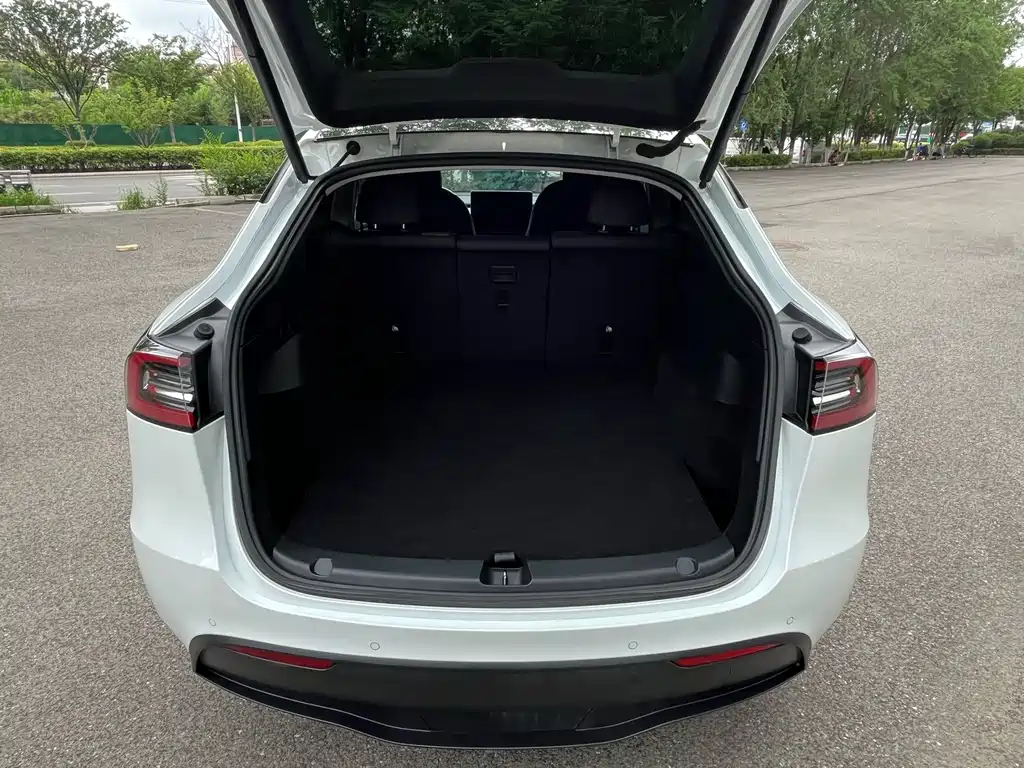 Tesla Model Y 2021 — фото 17