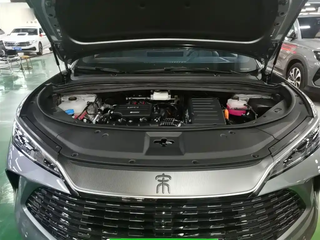 BYD L DM-i 2025 — фото 20
