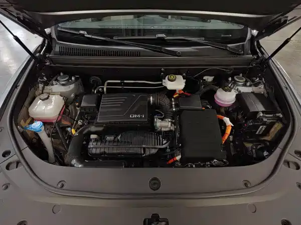BYD Song Pro New Energy 2024