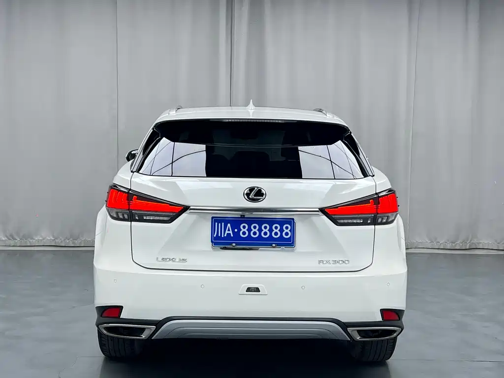 Lexus RX 2019 — фото 14