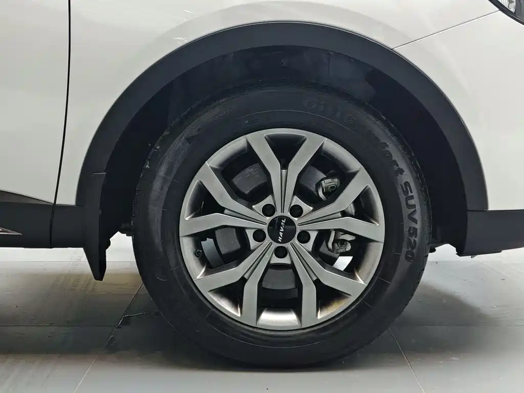 Haval H6 2022 — фото 12