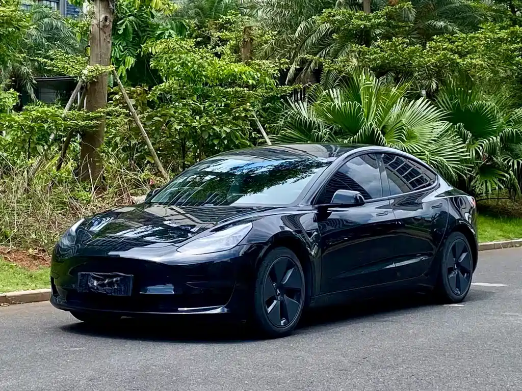 Tesla Model 3 2021 — фото 1
