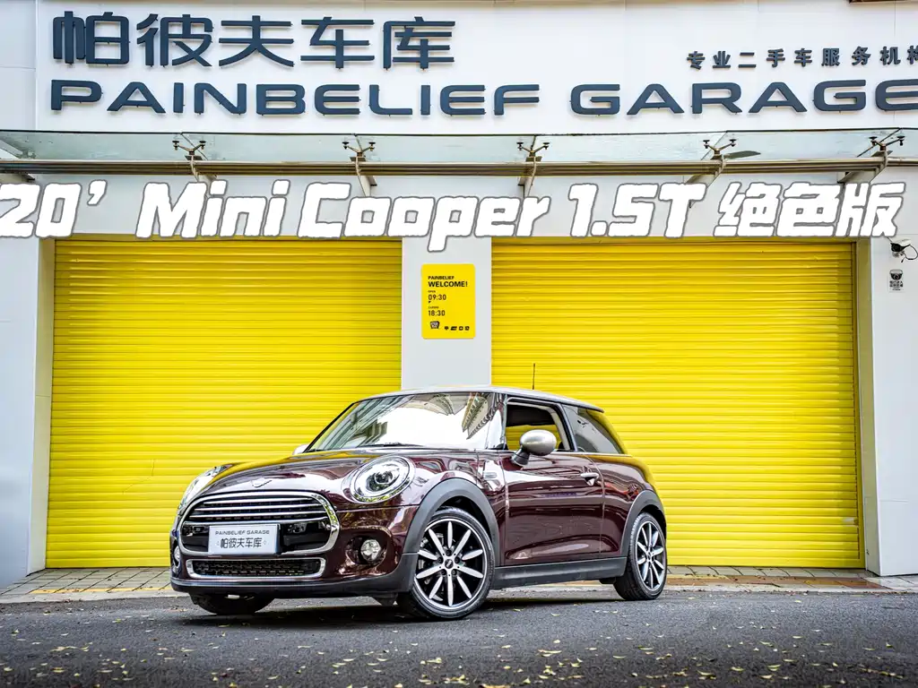 MINI MINI 2020