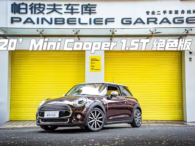 MINI MINI 2020