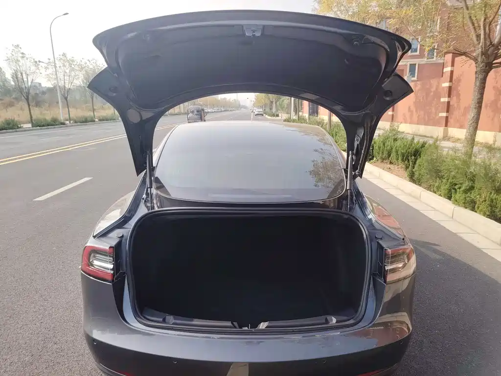 Tesla Model 3 2020 — фото 13