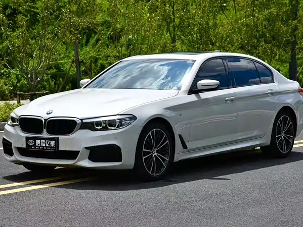 BMW 5 Series 2019