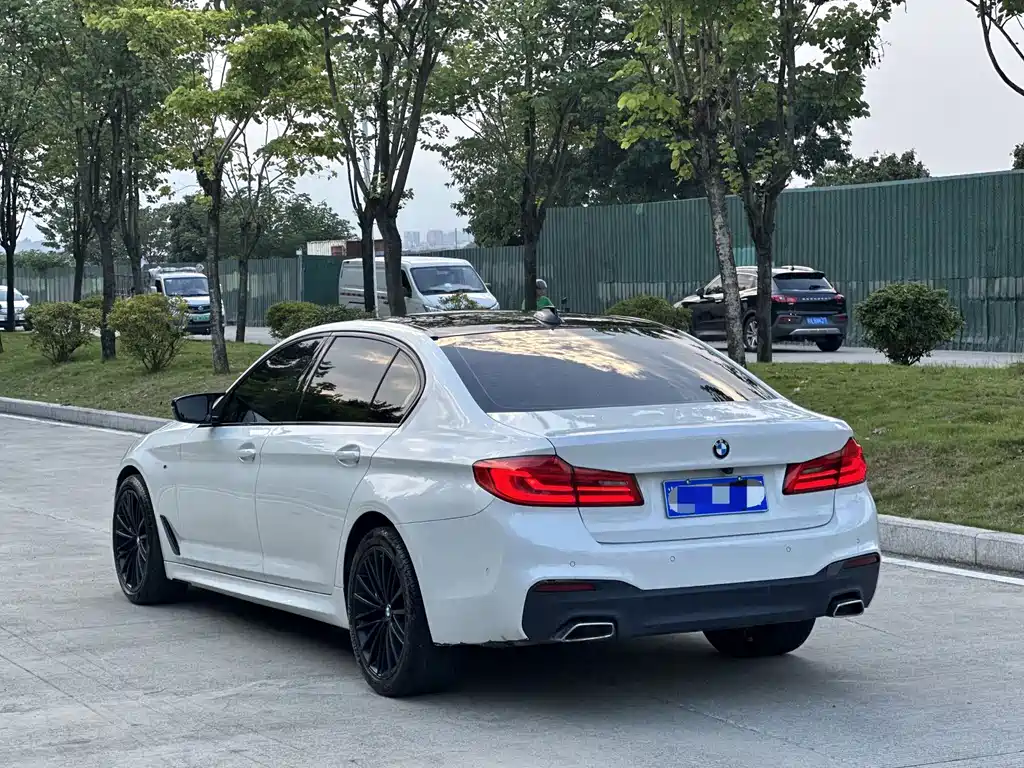 BMW 5 Series 2019 — фото 6