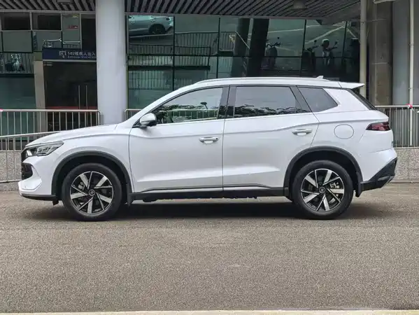 BYD Song Pro New Energy 2024