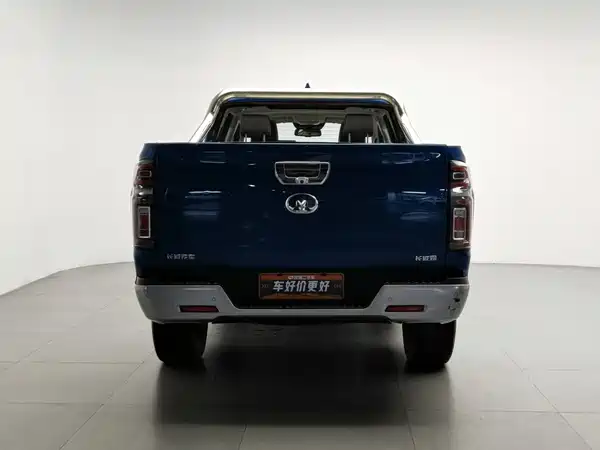 Great Wall Poer 2020