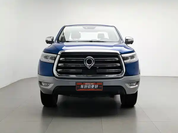 Great Wall Poer 2020