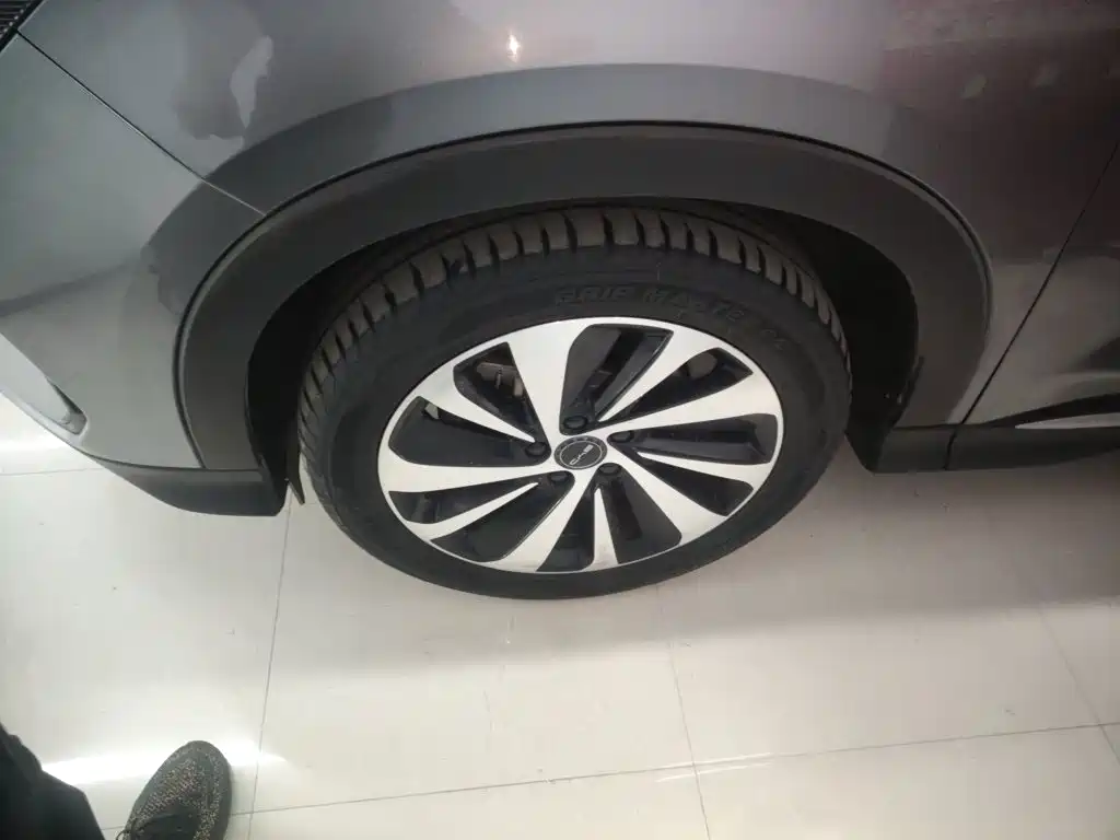 BYD Song PLUS New Energy 2023 — фото 25