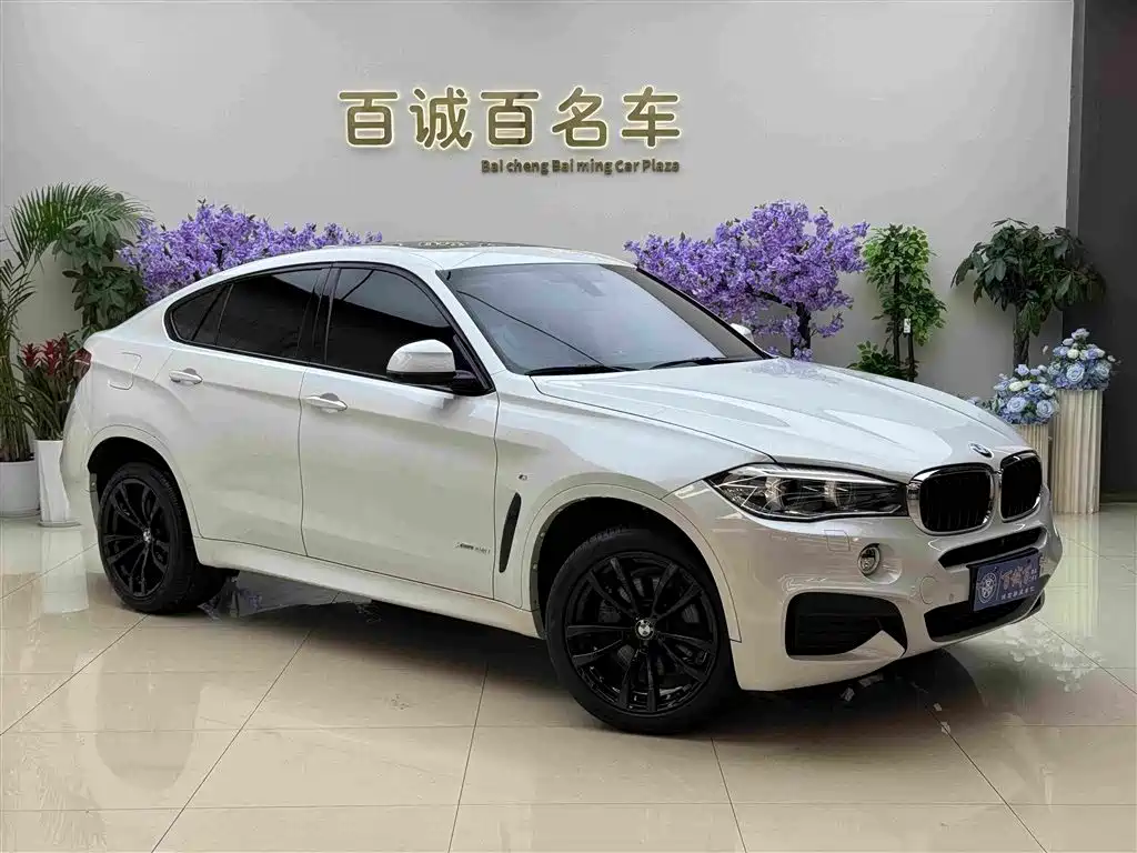 BMW X6 2019 — фото 4