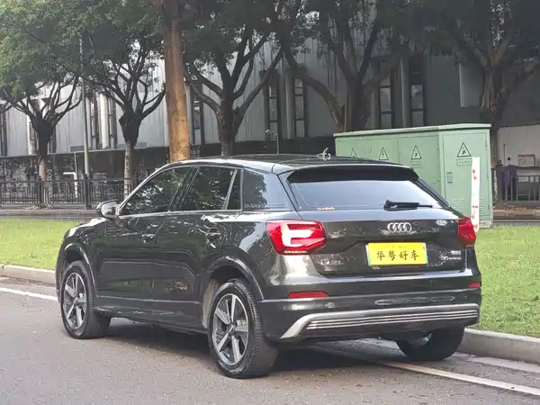 Audi Q2L E-Tron 2020