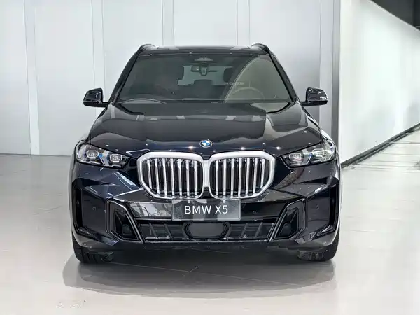 BMW X5 2024