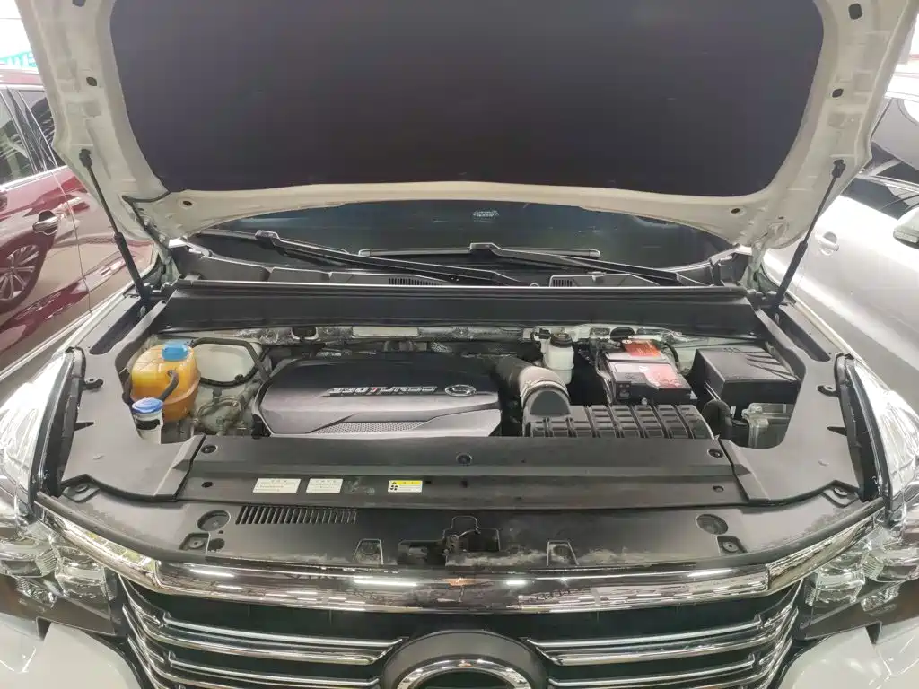 GAC Trumpchi GS8 2021 — фото 20