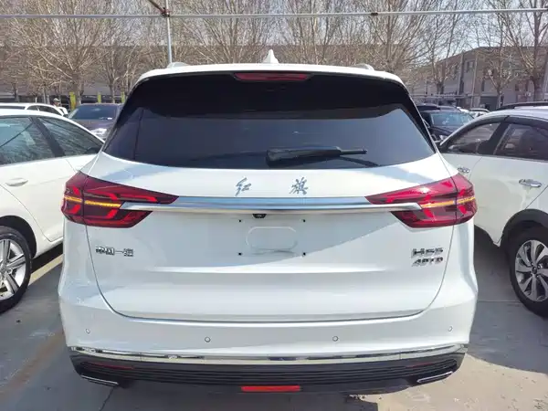 Hongqi HS5 2020