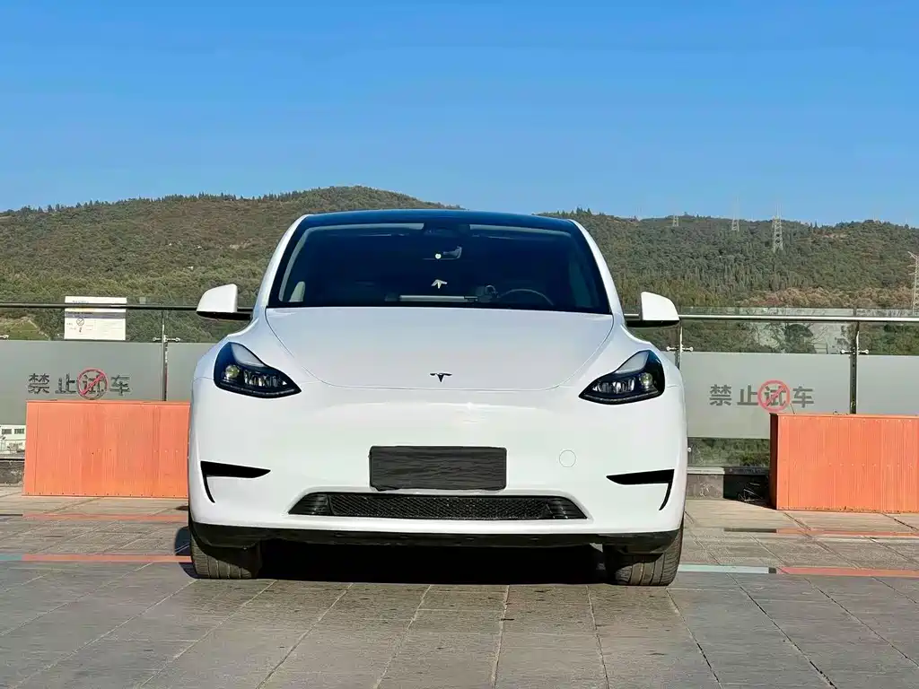 Tesla Model Y 2023 — фото 1