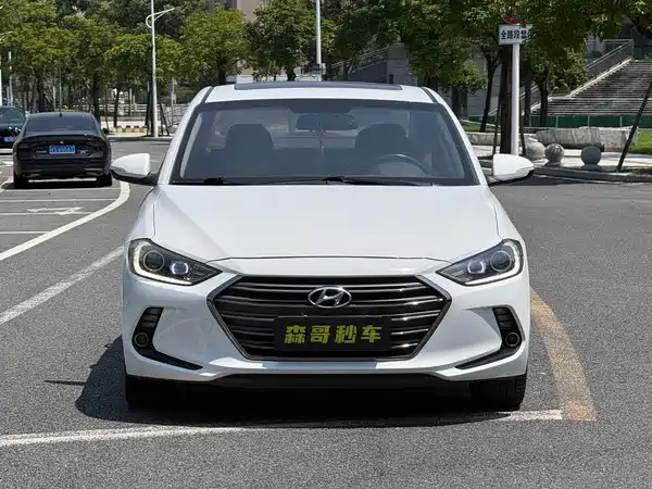 Hyundai Celesta 2019