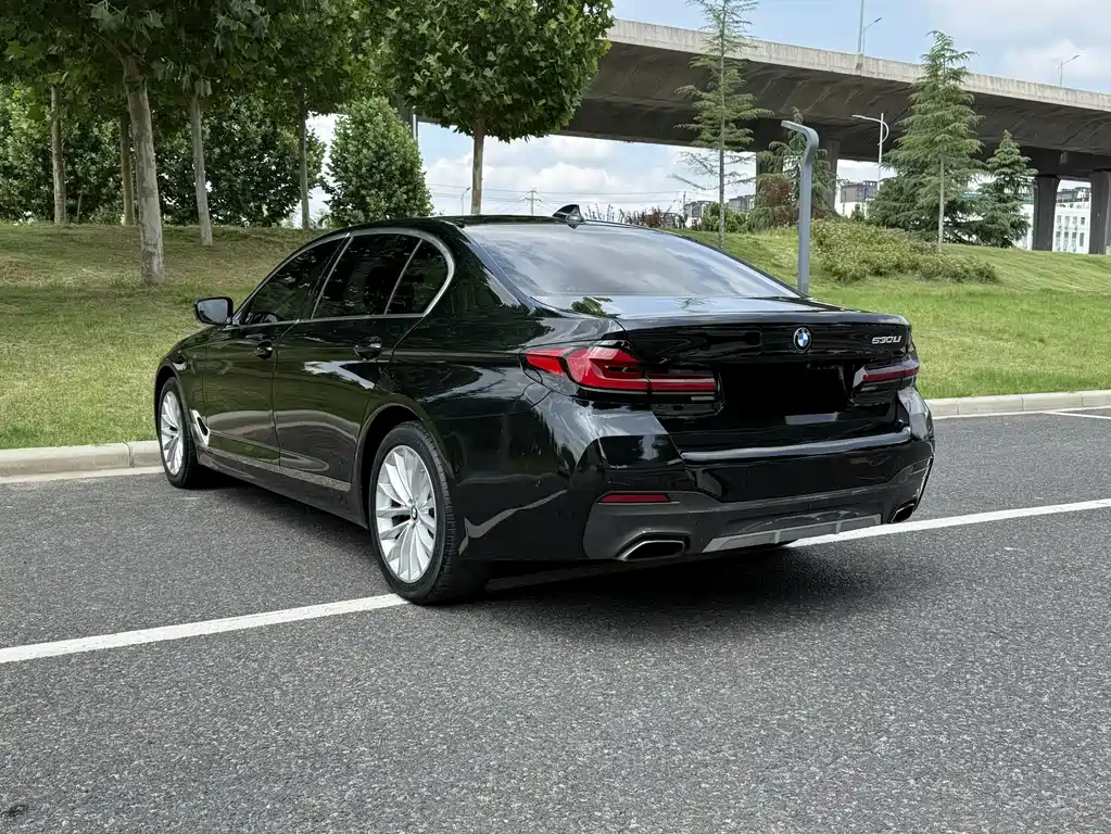 BMW 5 Series 2019 — фото 10