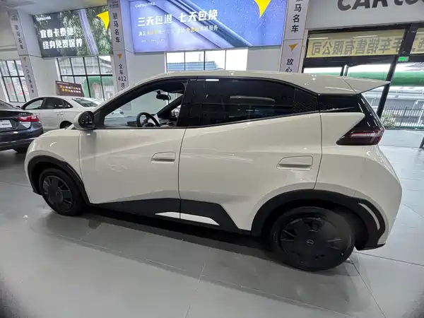 BYD Seagull 2024