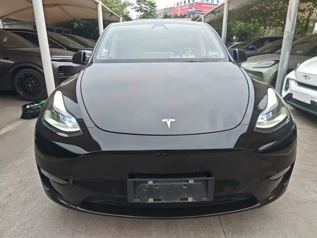 Tesla Model Y 2021 — фото 3