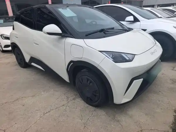 BYD Seagull 2023
