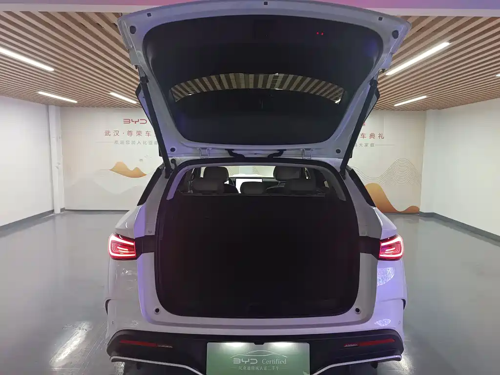 BYD Seal 06 DM-i Travel Edition 2025 — фото 15