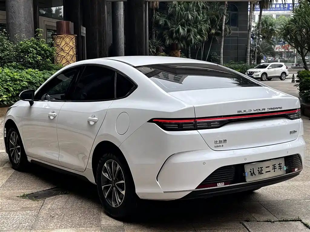 BYD Destroyer 05 2024 — фото 15